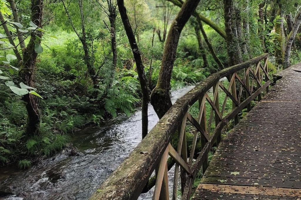 Tranquilidad Y Naturaleza Lägenhet Mondariz-Balneario Exteriör bild